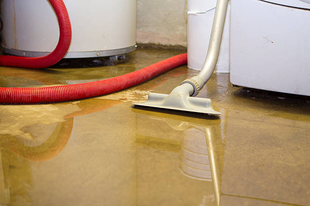 Best Flood damage cleanup  in Carnot Moon, PA