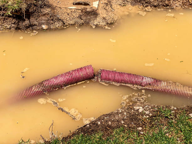 Best 24-hour water damage restoration  in Carnot Moon, PA