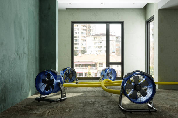 Best Water damage mitigation services  in Carnot Moon, PA