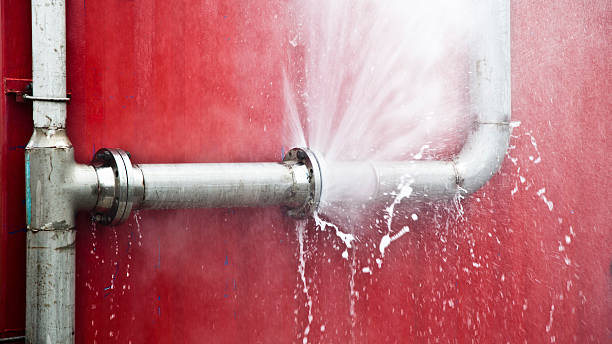 Best Water damage cleanup near me  in Carnot Moon, PA