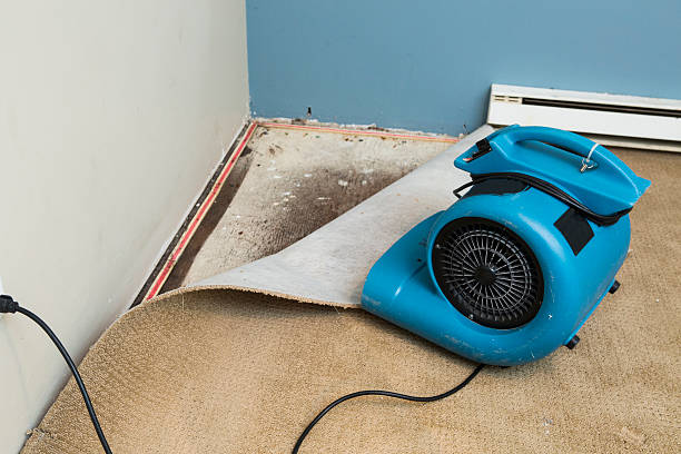 Best Water damage cleanup near me  in Carnot Moon, PA